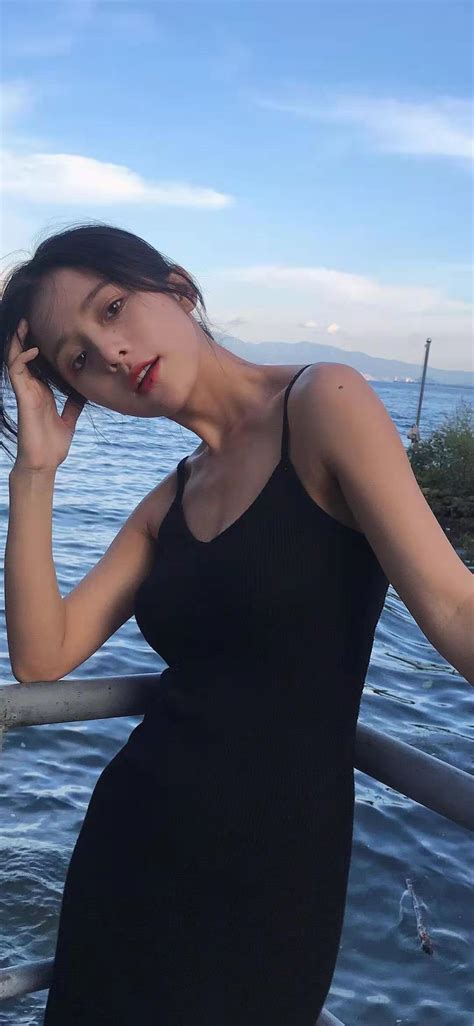 免费使用蜘蛛池的软件叫什么